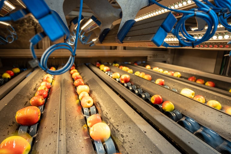 AI driven quality consistency with the Elisam Ellips AI grader