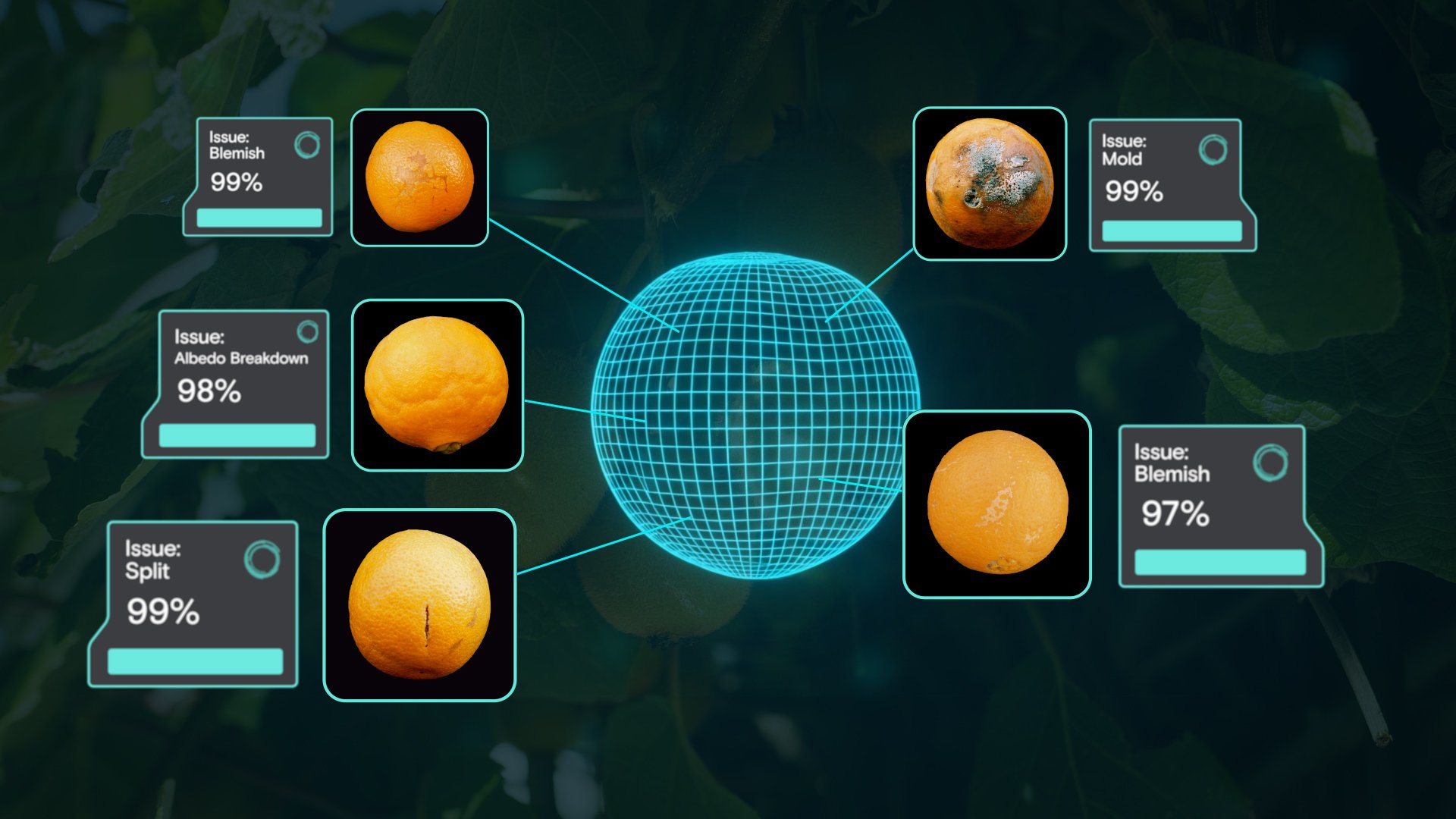 AI_Citrus_still_percentages