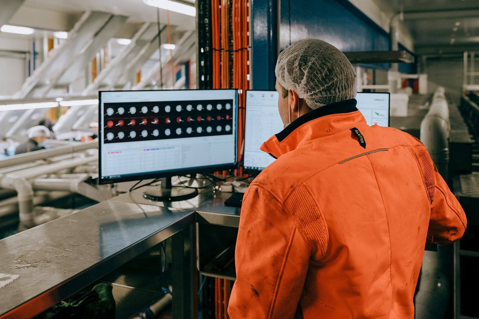 Cherry AI sorting technology at Lucaston Park Orchards-1