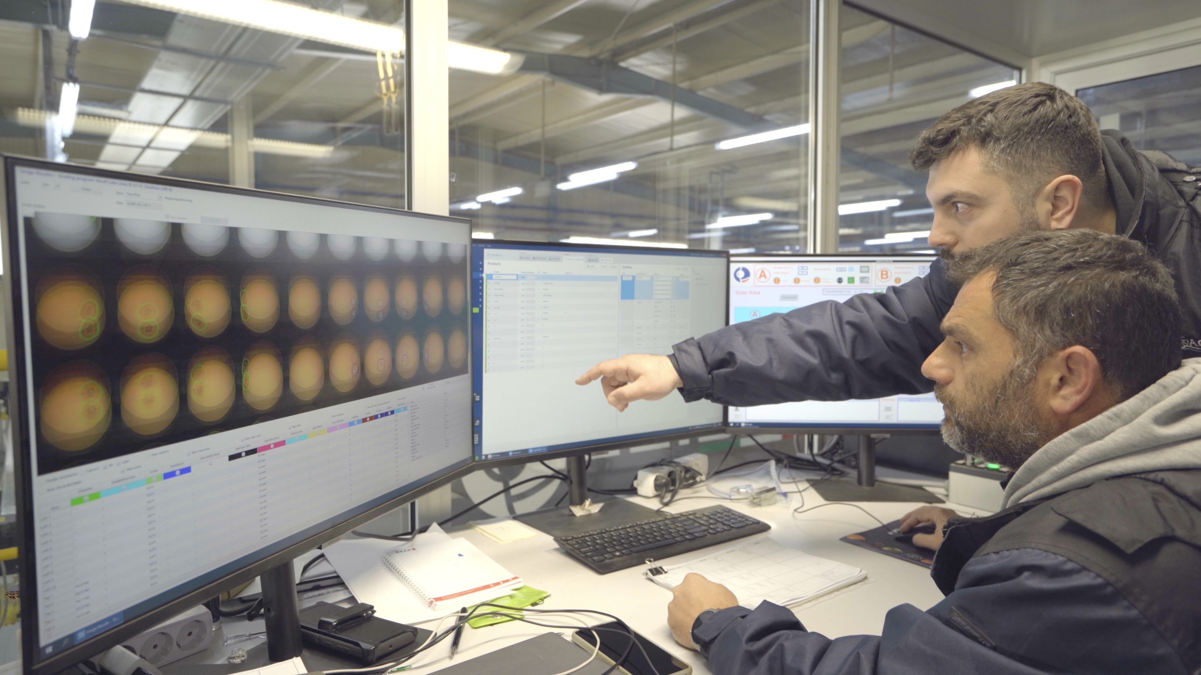 Citrus AI Grading Technology Ellips at Agrofrut Hellas