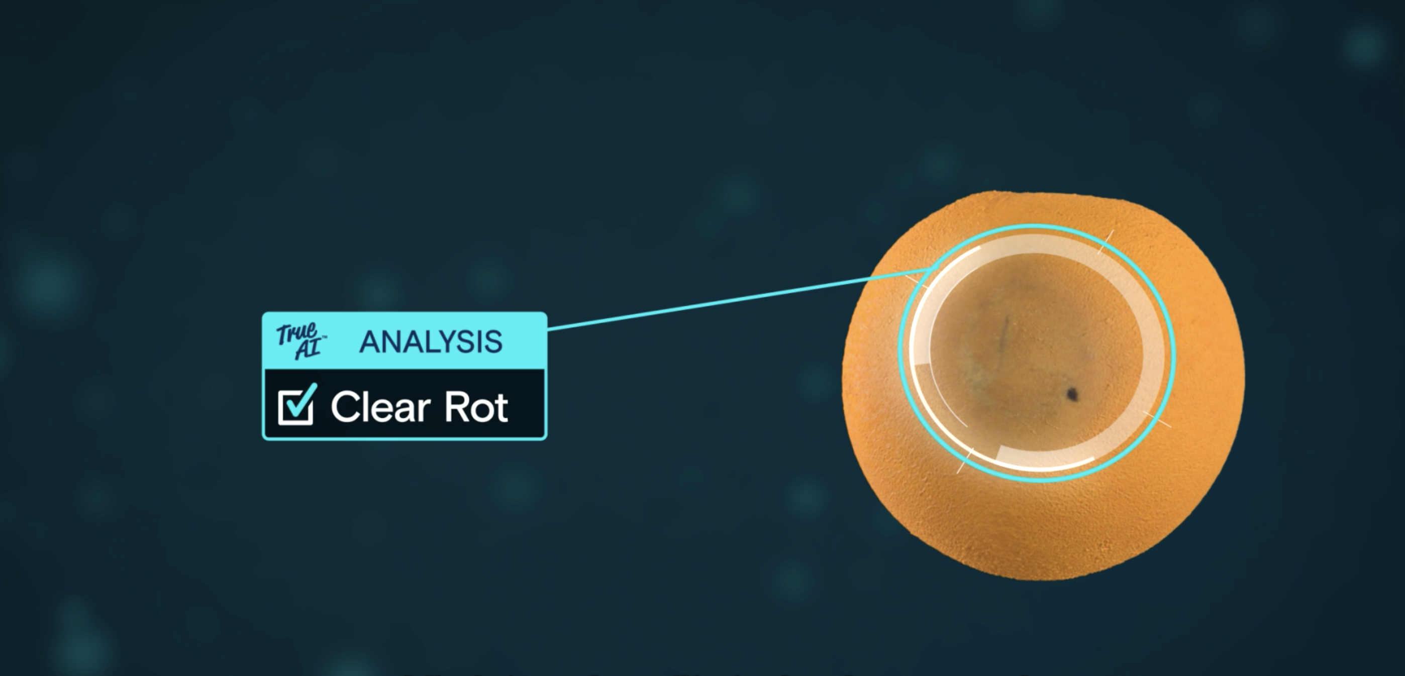 Citrus True ai clear rot
