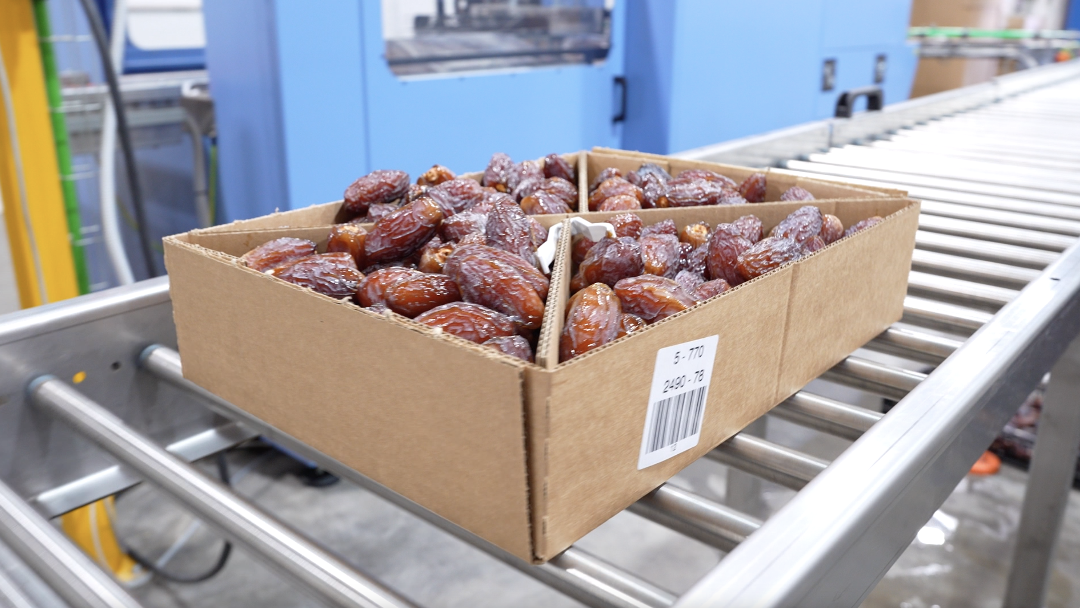 Consistent Date Quality with Elisam AI grading machine at Rimon