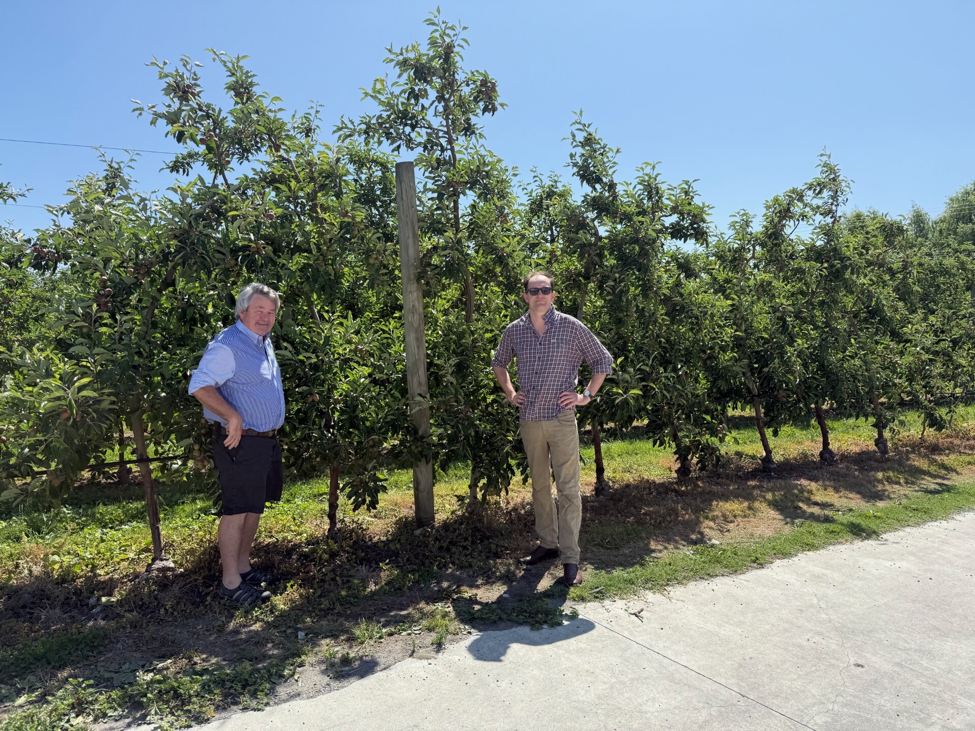 Consistent quality with Ellips AI Apple Grading Technology at Green Planet Apples
