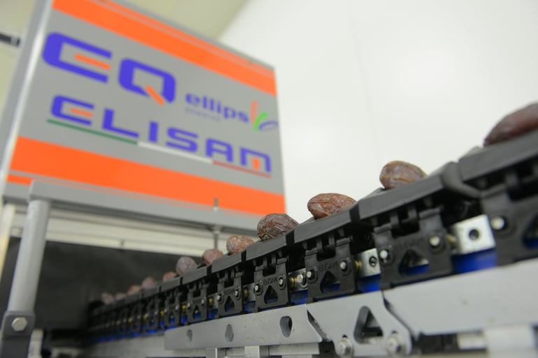 Date AI Grading Machine Meet All Quality Demands