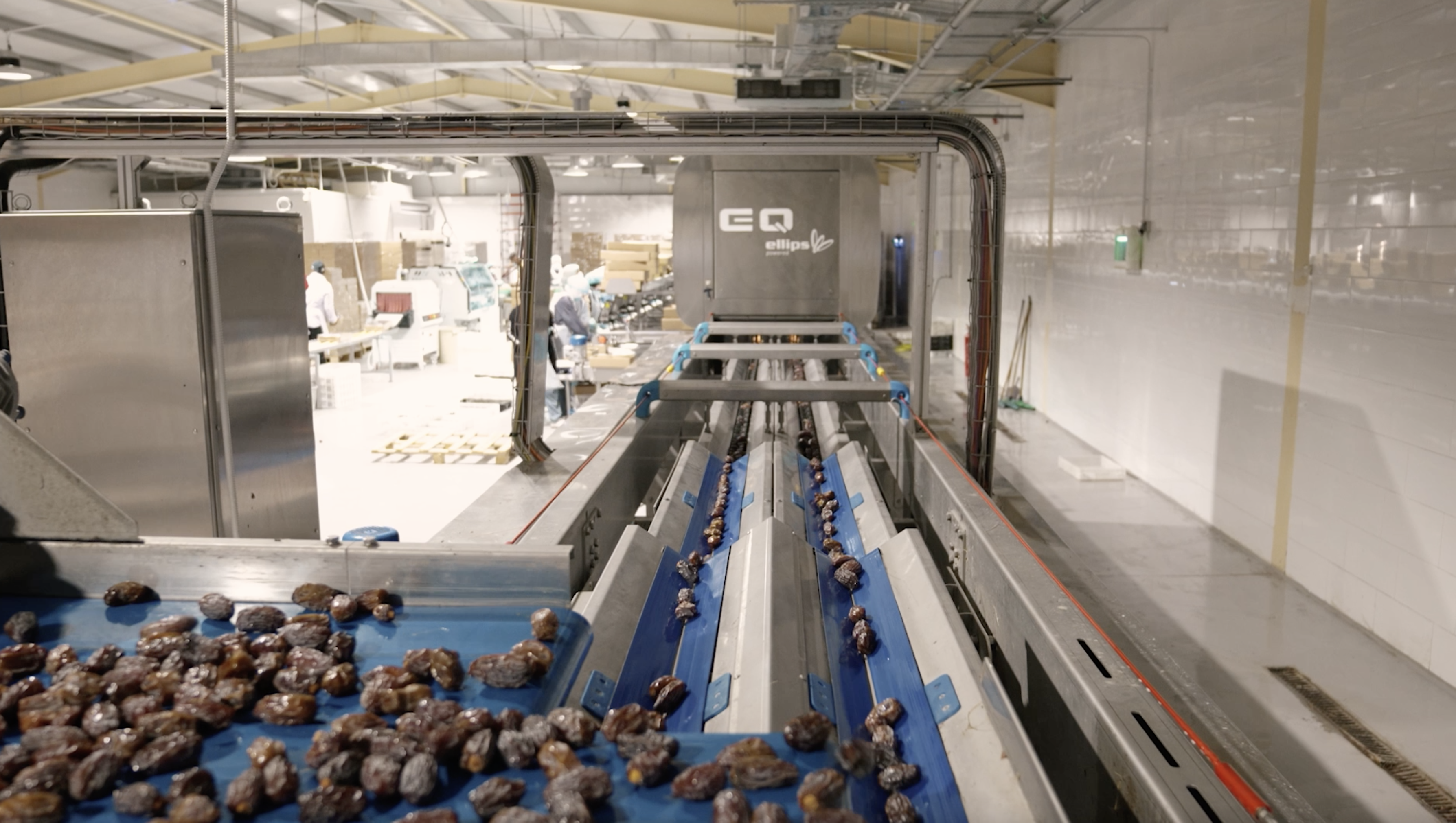 Elisam AI Date Sorting Machine at Spectra Dates