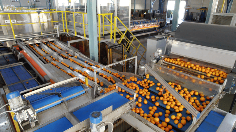 Elisam AI Grading Machine at Agrofrut Hellas