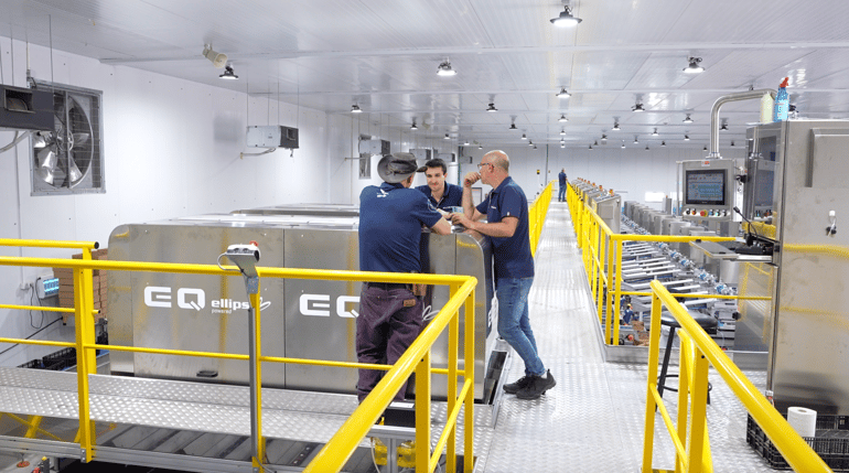 Elisam AI date grader with Ellips AI Grading Technology at Rimon