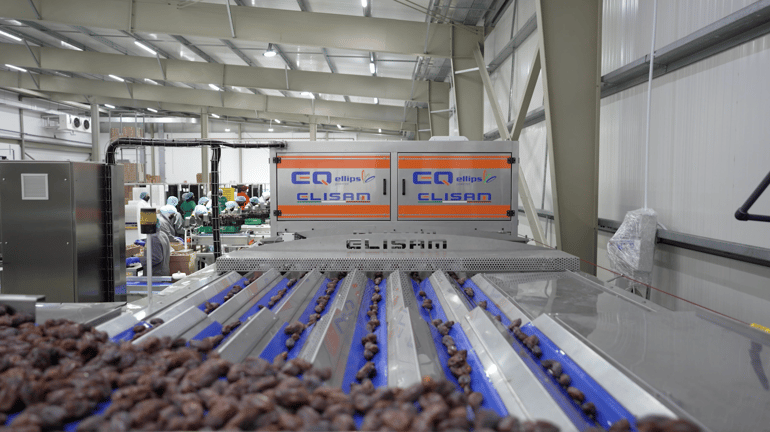Elisam Big Volume Date Sorting at Medjool Village