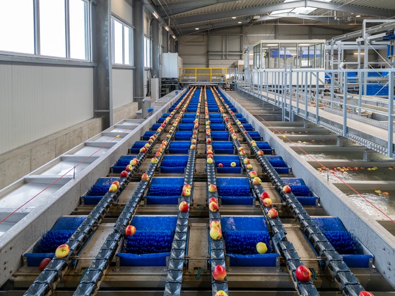 Elisam Capacity Sorting Machine at Elbe Obst