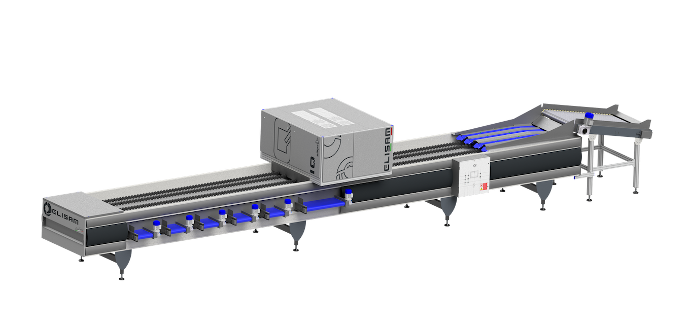 Elisam CombiGrader for grading both potatoes and onions 2.jpg