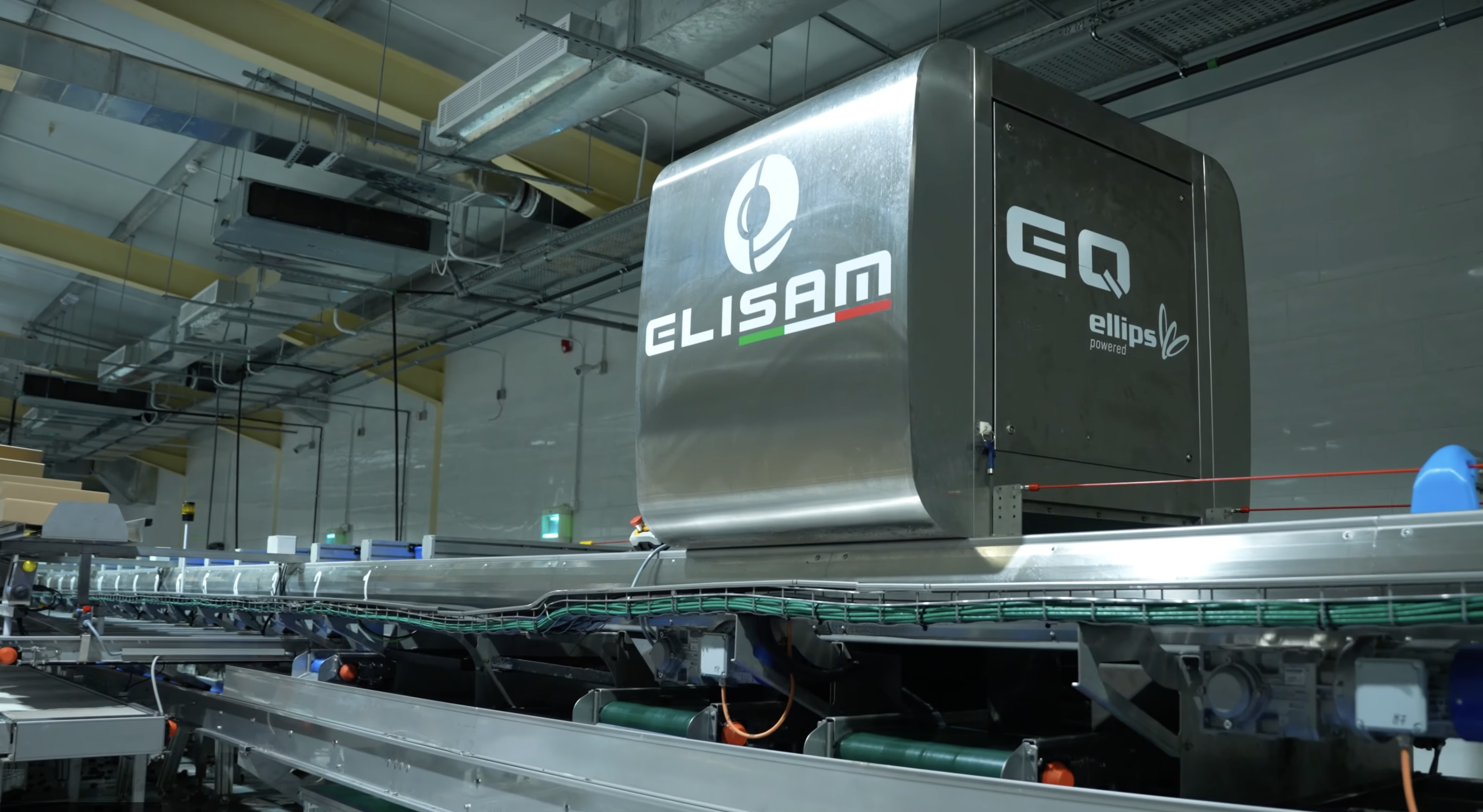 Elisam Ellips AI grading technology for dates at Spectra Dates