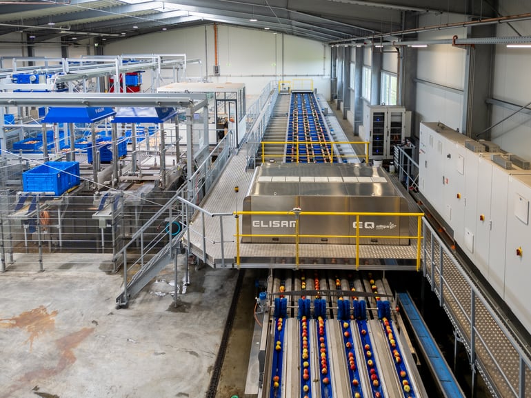 Elisam Grader High Volumes at Elbe Obst