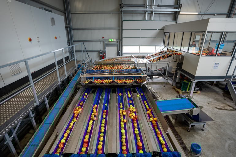 Elisam HighThroughput Sorting Machine at Elbe Obst