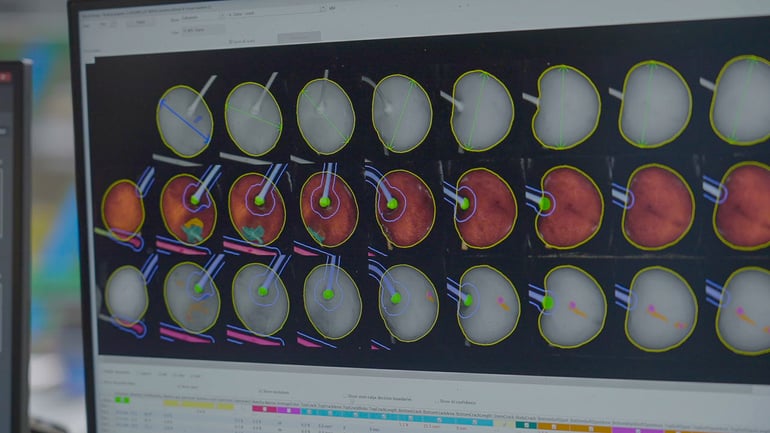 Ellips AI Cherry Grading Technology at Vidrio Fruits