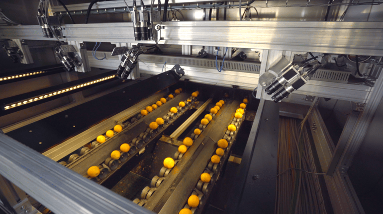 Ellips AI Defect Detection Citrus Fruit at Agrofrut Hellas