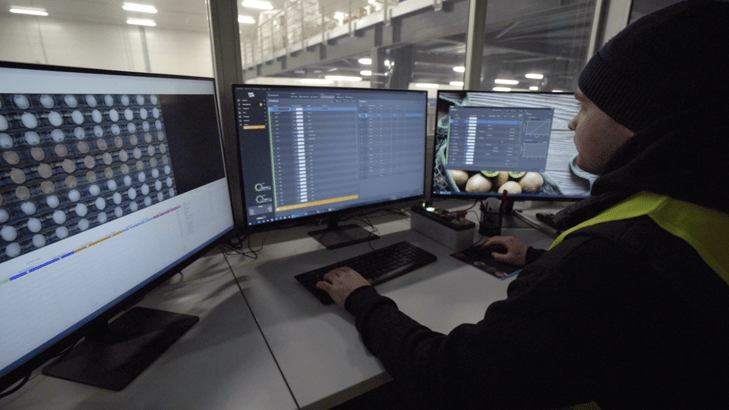 Ellips AI Grading Technology for Kiwi for Consistent Quality