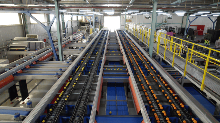 Ellips Elisam AI Sorting Machine at Agrofrut Hellas