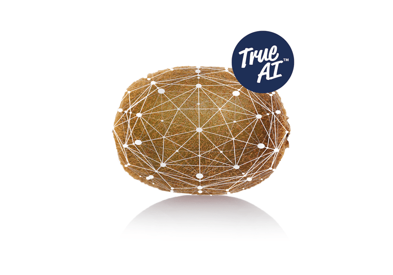 Ellips True-AI for Kiwi Grading fro Consistent Quality