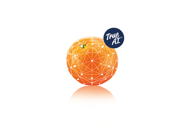 Ellips True-AI orange grading technology