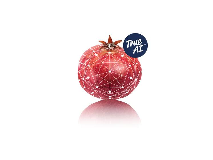 Ellips True-AI pomegranate grading technology