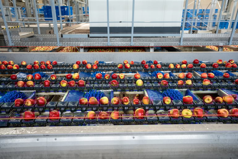 Ellips-Elbe-Obst-9