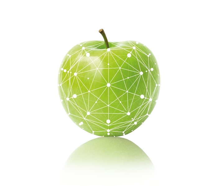 External Quality AI Grading Technology