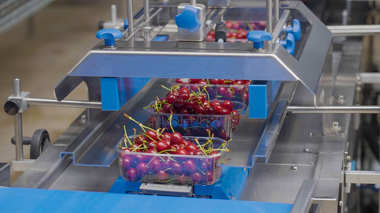 Fully Automated Cherry Packing Machine from Mat Exakta and Elifab at Vidrio Fruits