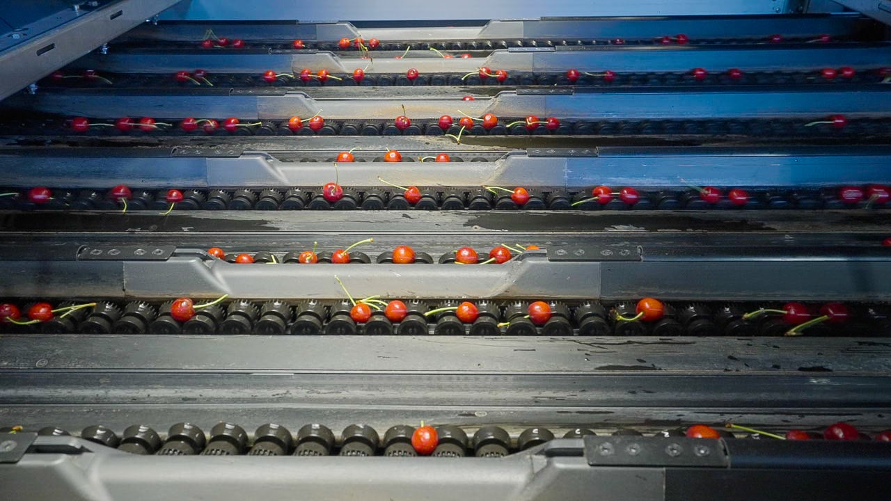 Highest Cherry Grading Accuracy with Ellips AI Grading Technology at Vidrio Fruits