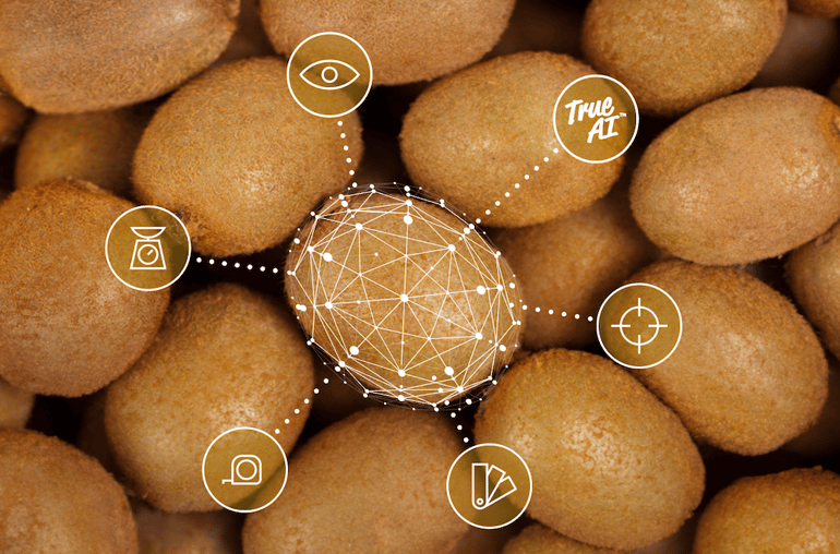 Kiwi AI grading technology from Ellips