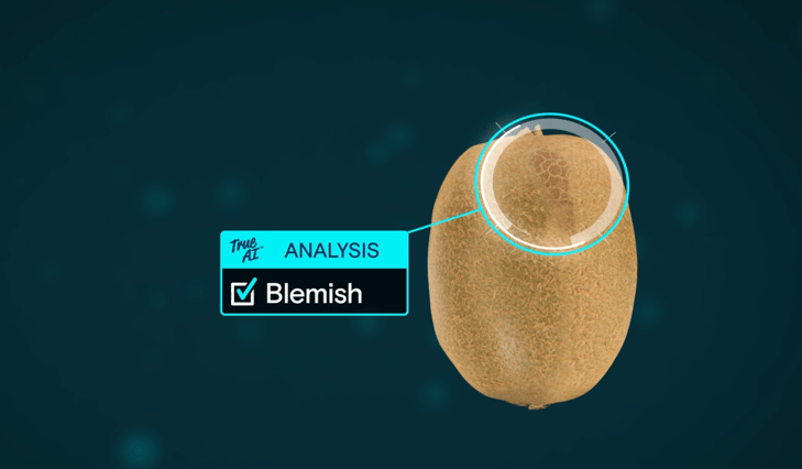 Kiwi True ai Blemish (1)