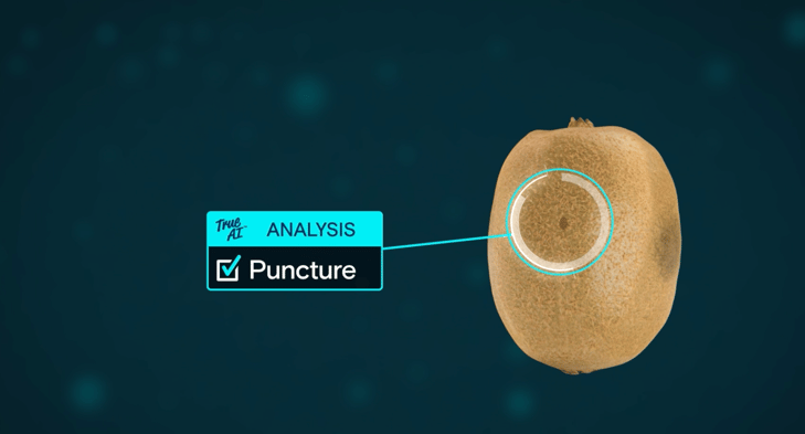 Kiwi True ai puncture (1)
