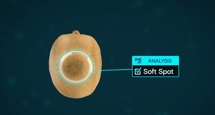 Kiwi True ai soft spot (1)