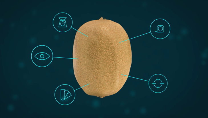 Kiwi True ai