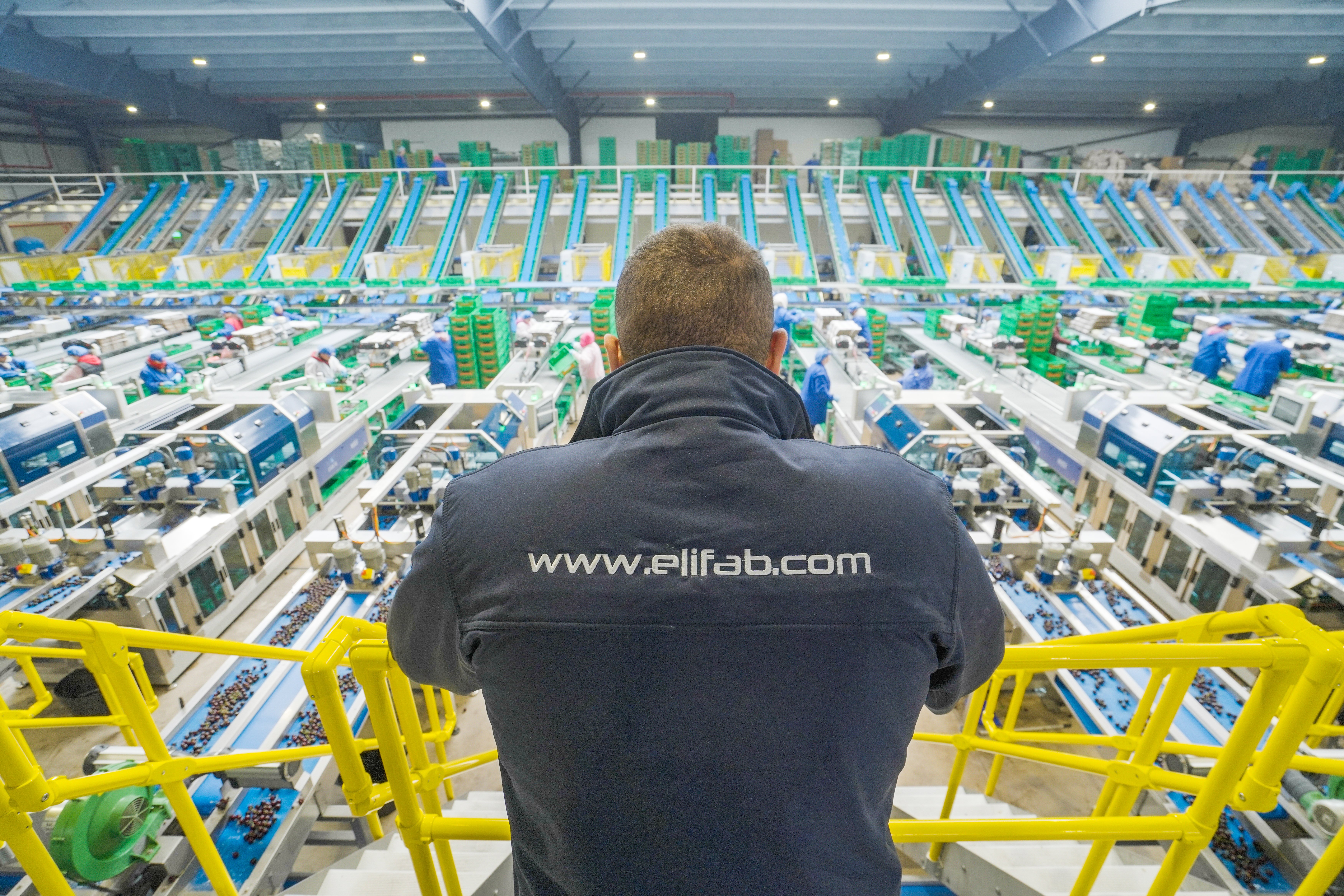Largest Cherry Packhouse of Europe at Vidrio Fruits
