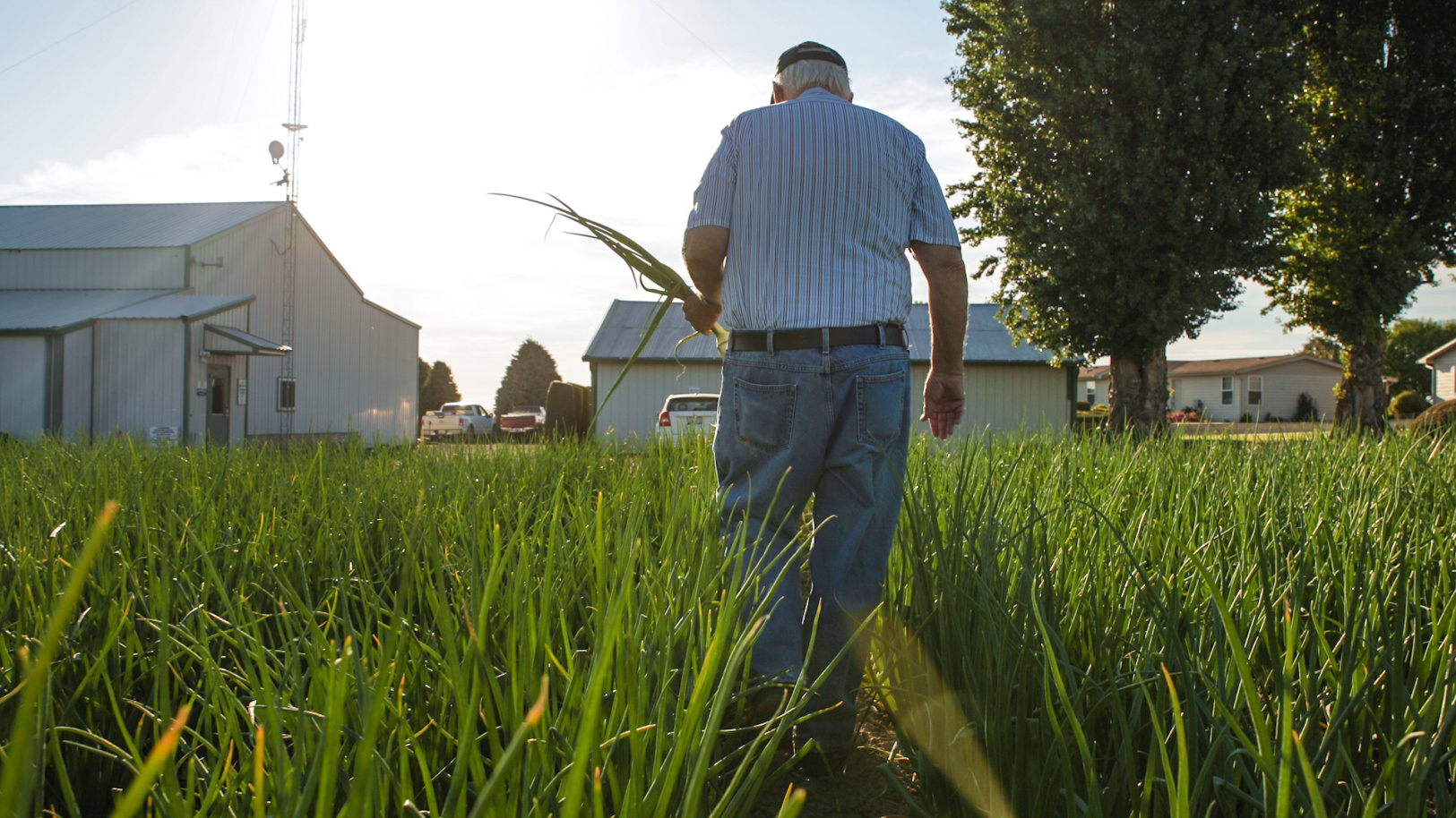 Less labor required with Ellips True-AI at Target AG