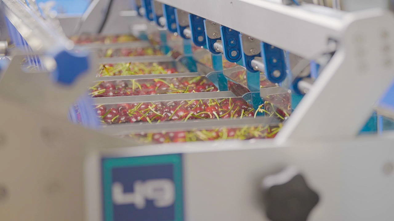 Mat Exaktra Elifab Cherry Packing Machine at Vidrio Fruits