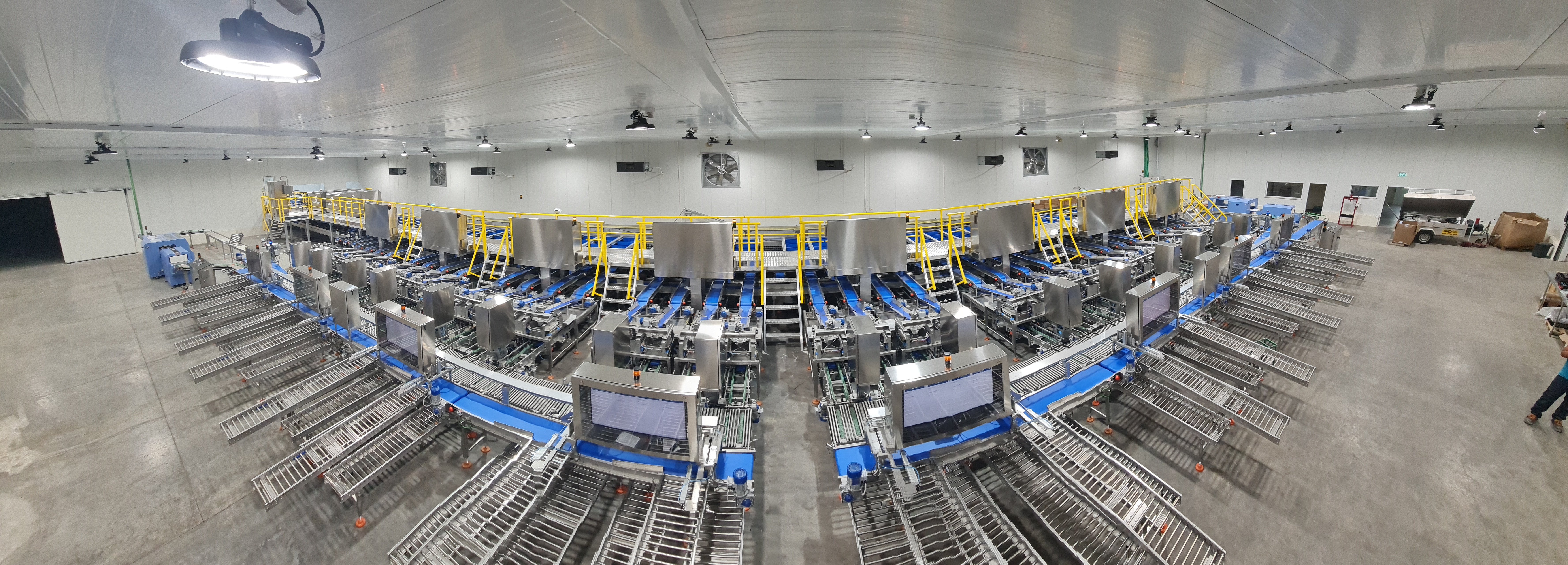 Meeting the global rise in date demand with AI-powered grading at Rimon