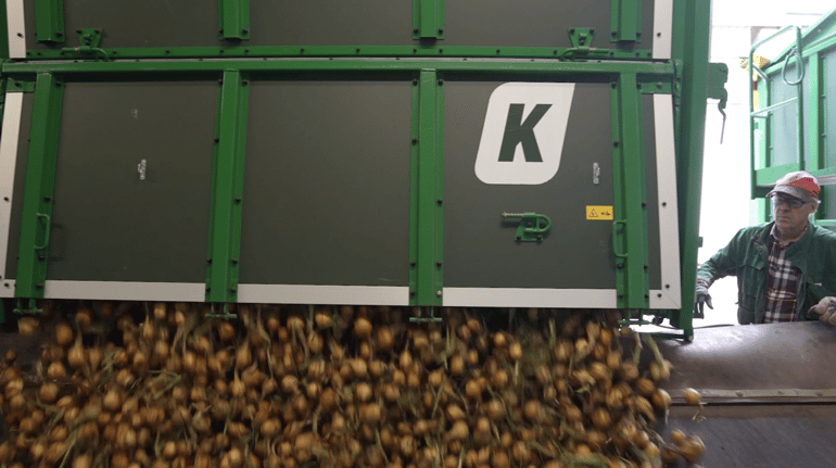 Onion Grading for Storage Optimization