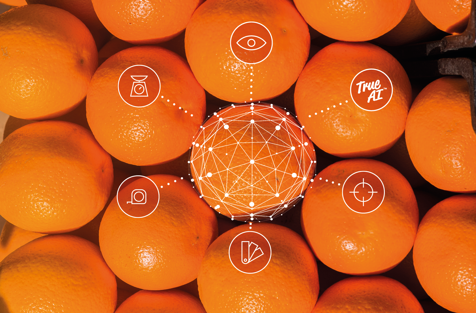 Orange-AI-grading-technology