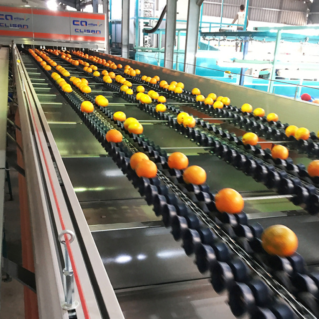 Orange-sorting-machine