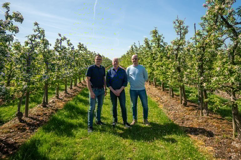 Palm System Elbe Obst Ellips Elisam Cooperation