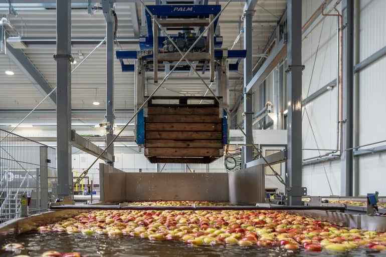 Palm Systems Infeed System for apples at Elbe Obst