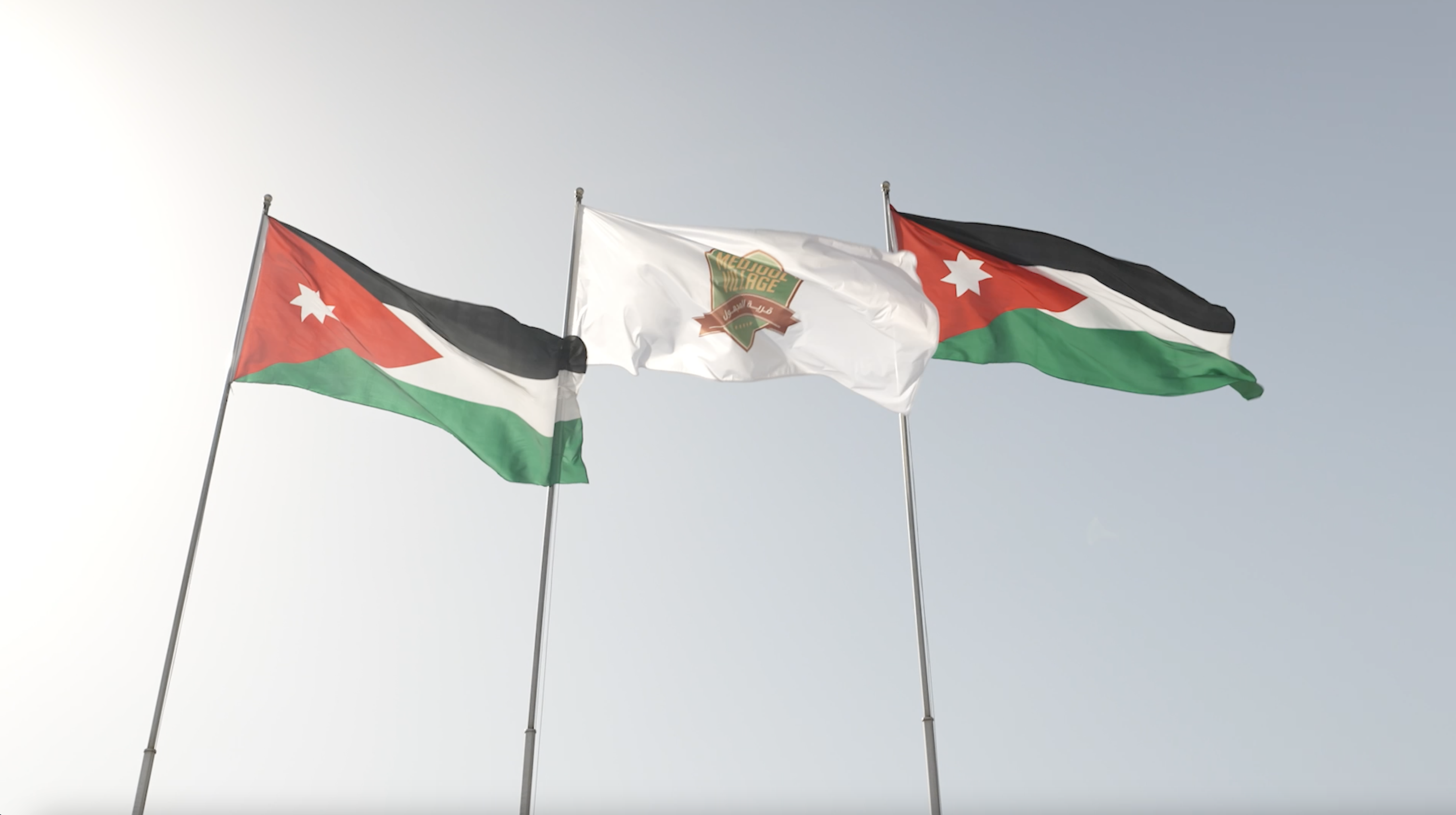 Premium Dates Medjool Village with Elisam Sorting Machine