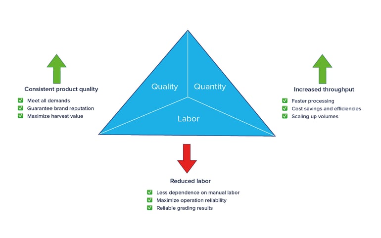 Revolutionize your grading with Ellips Golden Grading Triangle-1