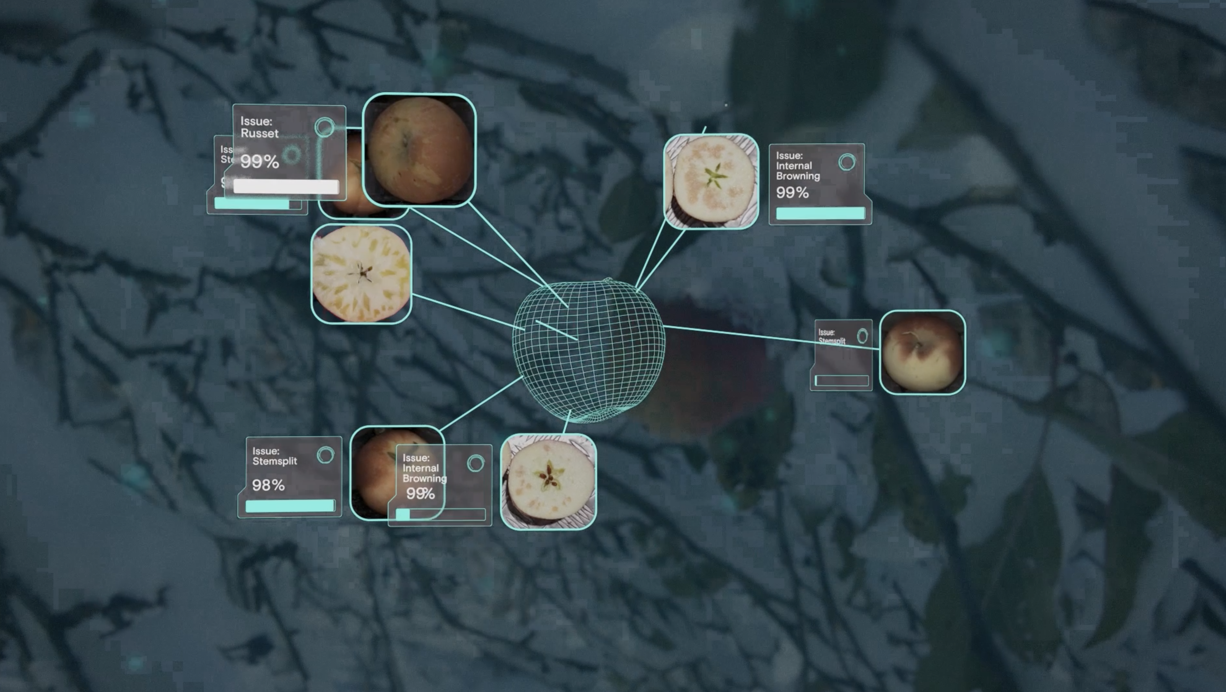Maximize your harvest value with AI apple grading