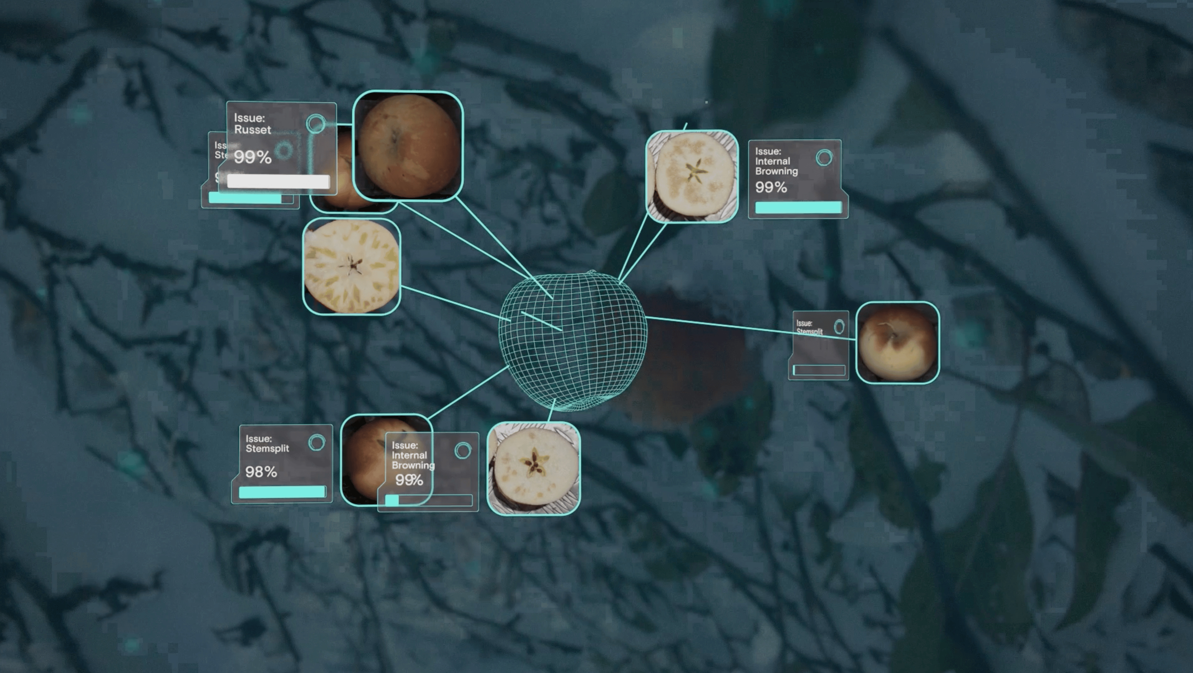Maximize your harvest value with AI apple grading