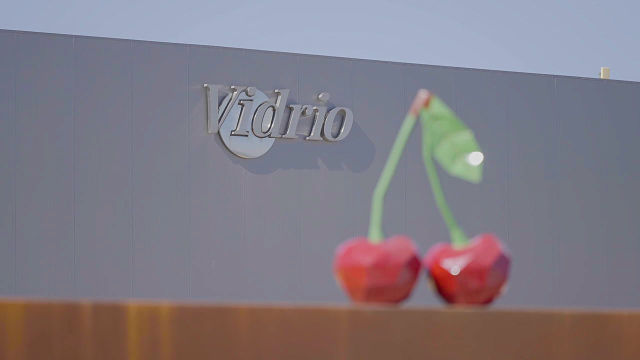 Vidrio Fruits Highest Cherry Quality with Ellips AI Grading Technology