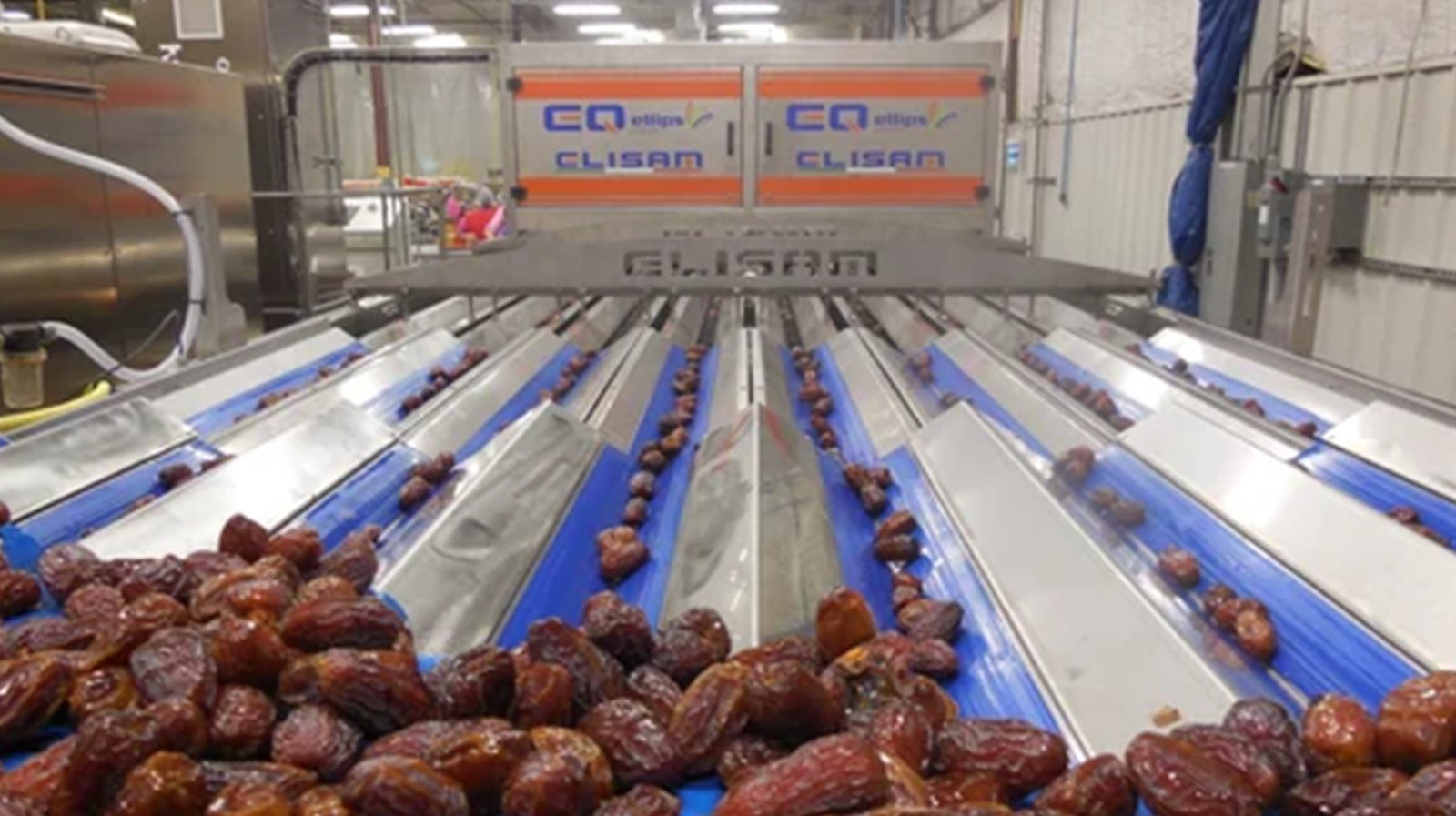 dates-1