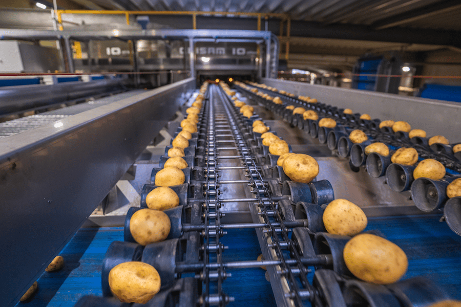 potato-grading-throughput