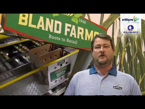 Bland Farms - Onions